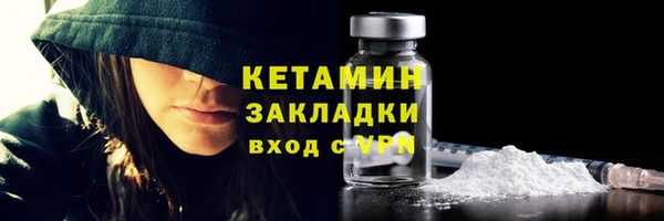 прущие грибы Волосово