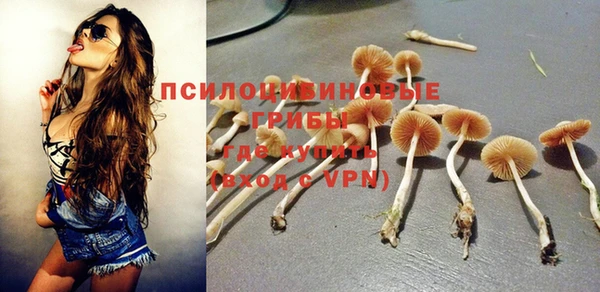 прущие грибы Волосово