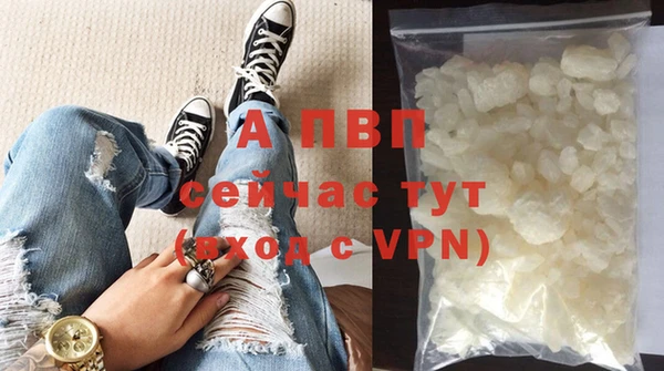 прущие грибы Волосово