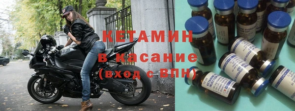 прущие грибы Волосово