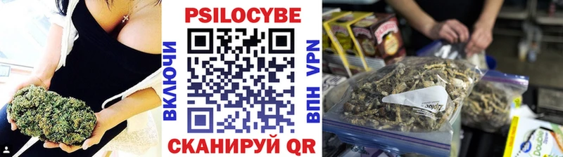 Купить где  Почеп  Галлюциногенные грибы Cubensis 